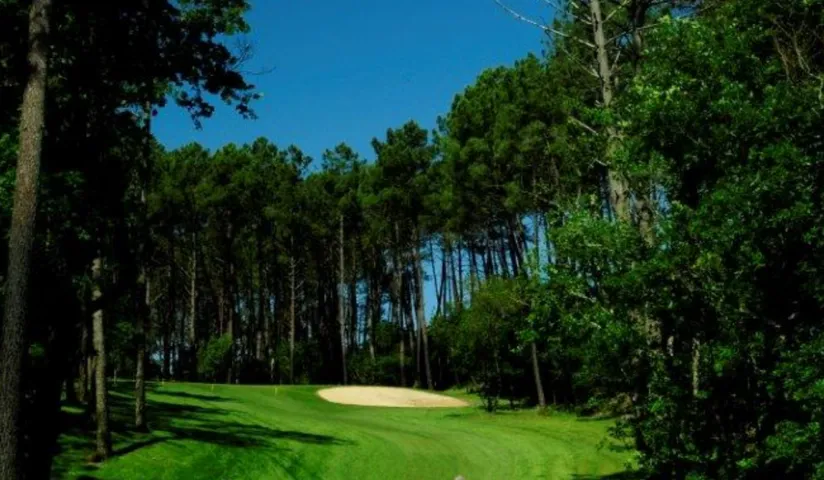 GOLF MUNICIPAL MIMIZAN