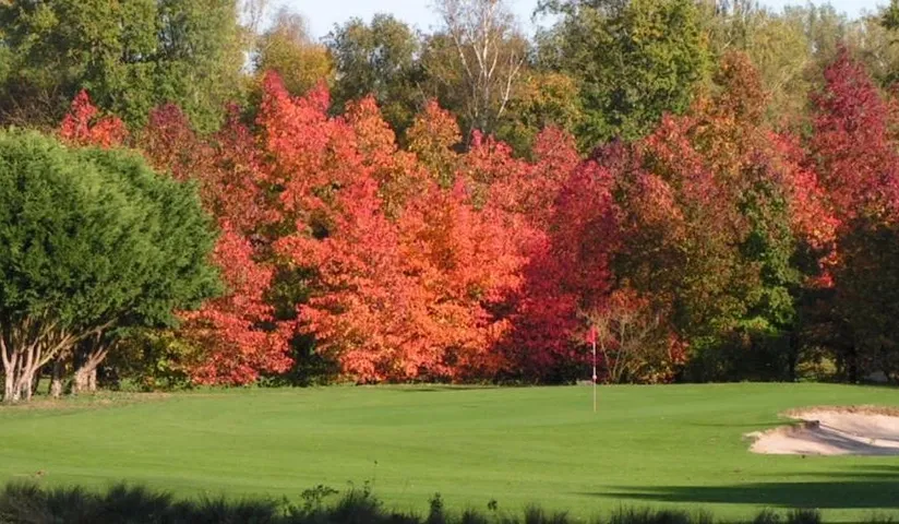 GOLF UCPA BOIS LE ROI
