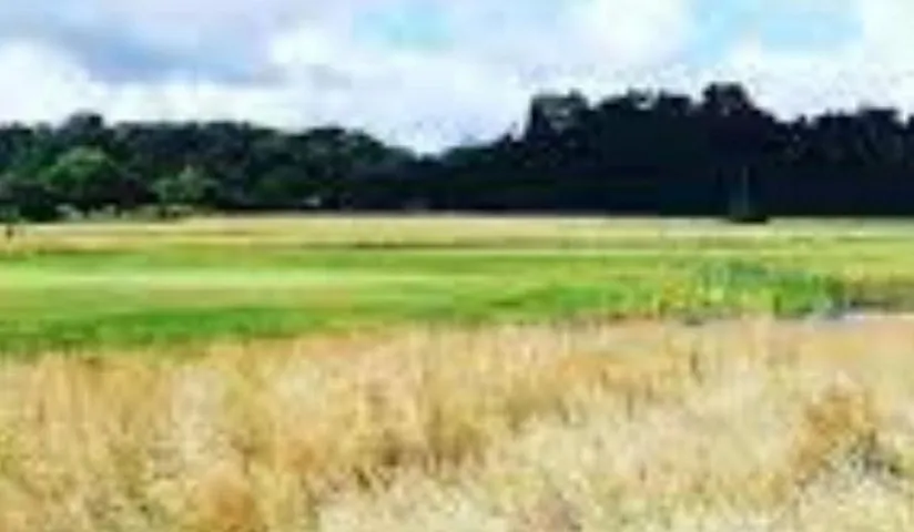 GOLF DE SAINT SYLVAIN D'ANJOU
