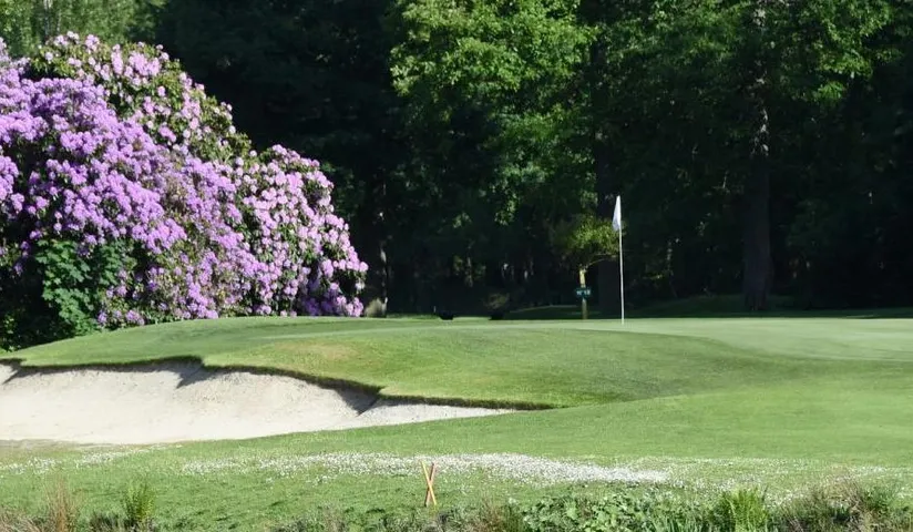 GOLF ISABELLA