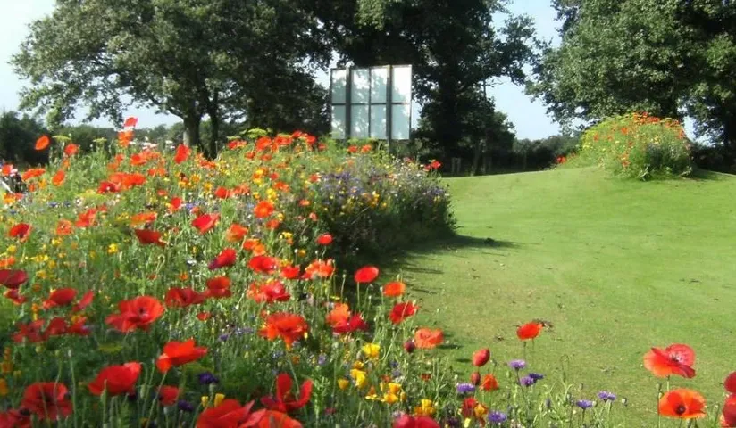 GOLF CLUB DOMAINE DES FORGES