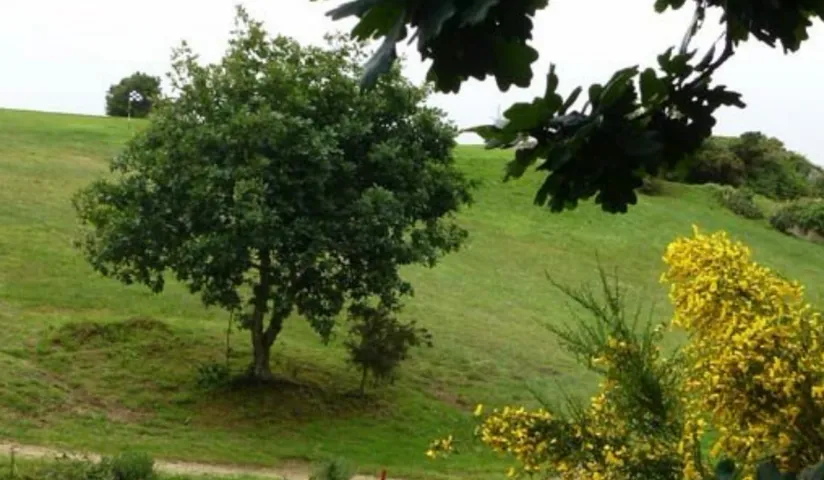 GOLF DE BREST LES ABERS