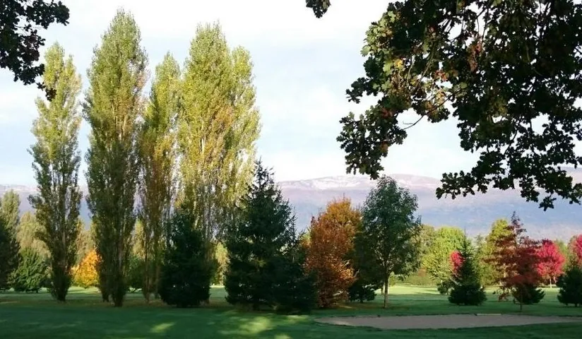 GOLF DE LA MANCHETTE